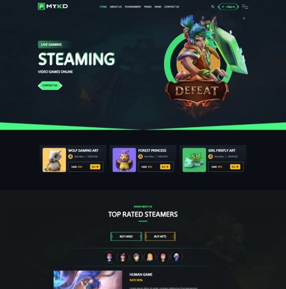 web development project